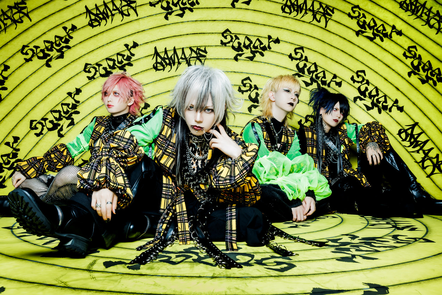 V系☆NEVERLANDライカエジソン☆特典☆DVD DVD